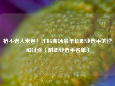 枪不老人未退！PUBG赛场最年长职业选手的逆龄征途（附职业选手名单）