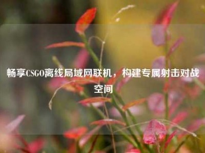 畅享CSGO离线局域网联机，构建专属射击对战空间