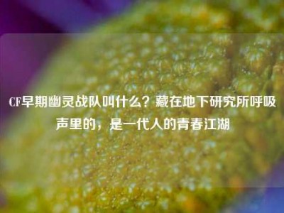 CF早期幽灵战队叫什么？藏在地下研究所呼吸声里的，是一代人的青春江湖
