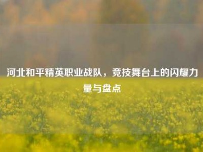 河北和平精英职业战队，竞技舞台上的闪耀力量与盘点