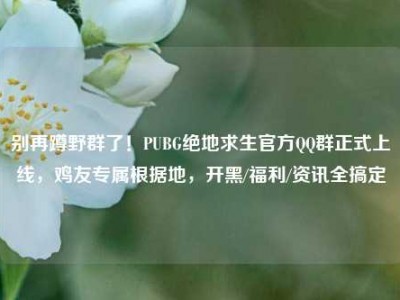 别再蹲野群了！PUBG绝地求生官方QQ群正式上线，鸡友专属根据地，开黑/福利/资讯全搞定