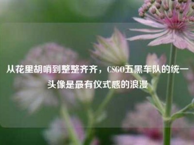 从花里胡哨到整整齐齐，CSGO五黑车队的统一头像是最有仪式感的浪漫