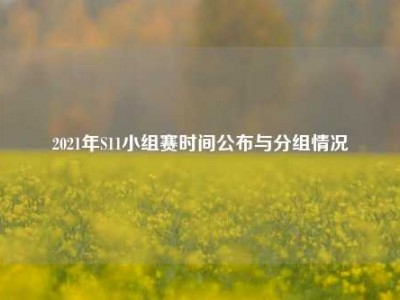 2021年S11小组赛时间公布与分组情况