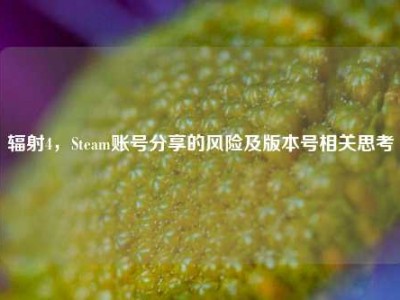 辐射4，Steam账号分享的风险及版本号相关思考