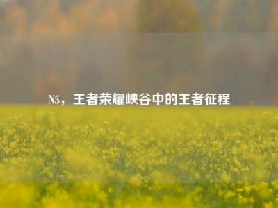 N5，王者荣耀峡谷中的王者征程