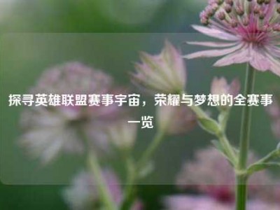 探寻英雄联盟赛事宇宙，荣耀与梦想的全赛事一览