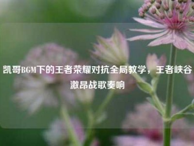 凯哥BGM下的王者荣耀对抗全局教学，王者峡谷激昂战歌奏响