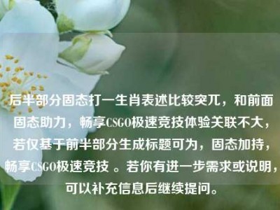后半部分固态打一生肖表述比较突兀，和前面固态助力，畅享CSGO极速竞技体验关联不大，若仅基于前半部分生成标题可为，固态加持，畅享CSGO极速竞技 。若你有进一步需求或说明，可以补充信息后继续提问。