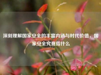 深刻理解国家安全的丰富内涵与时代价值，国家安全究竟指什么