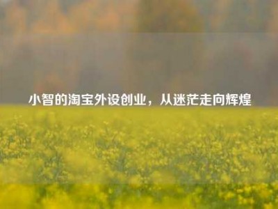 小智的淘宝外设创业，从迷茫走向辉煌