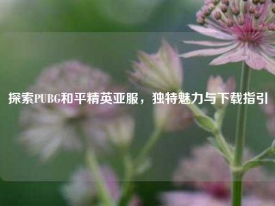 探索PUBG和平精英亚服，独特魅力与下载指引