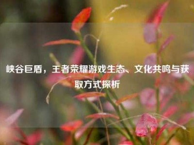 峡谷巨盾，王者荣耀游戏生态、文化共鸣与获取方式探析