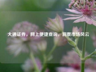 大通证券，网上便捷查询，洞察市场风云