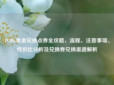 PUBG美金兑换点券全攻略，流程、注意事项、性价比分析及兑换券兑换渠道解析