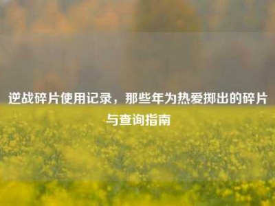 逆战碎片使用记录，那些年为热爱掷出的碎片与查询指南