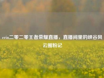 erin二零二零王者荣耀直播，直播间里的峡谷风云圈粉记