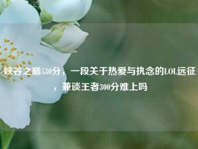 峡谷之巅530分，一段关于热爱与执念的LOL远征，兼谈王者300分难上吗