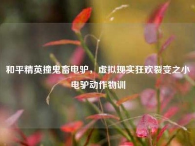 和平精英撞鬼畜电驴，虚拟现实狂欢裂变之小电驴动作物训