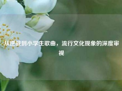 从逆战到小学生歌曲，流行文化现象的深度审视