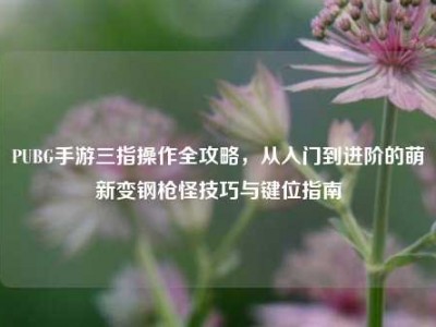 PUBG手游三指操作全攻略，从入门到进阶的萌新变钢枪怪技巧与键位指南