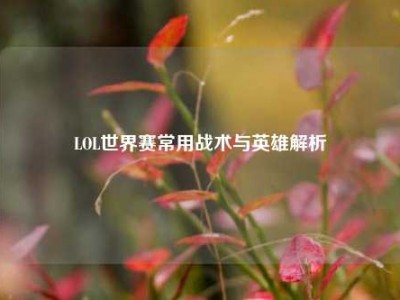 LOL世界赛常用战术与英雄解析