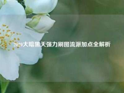 2020大暗黑天强力刷图流派加点全解析