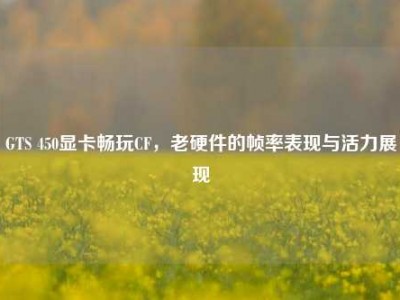 GTS 450显卡畅玩CF，老硬件的帧率表现与活力展现