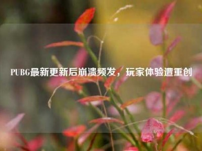PUBG最新更新后崩溃频发，玩家体验遭重创