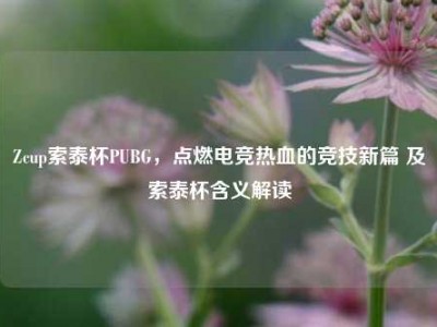 Zcup索泰杯PUBG，点燃电竞热血的竞技新篇 及索泰杯含义解读