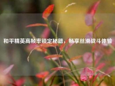 和平精英高帧率锁定秘籍，畅享丝滑战斗体验
