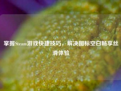 掌握Steam游戏快捷技巧，解决图标空白畅享丝滑体验