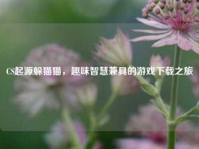 CS起源躲猫猫，趣味智慧兼具的游戏下载之旅