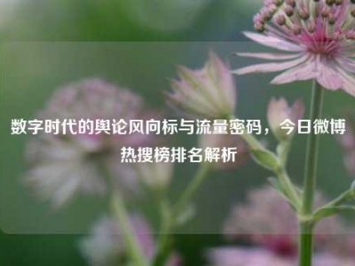 数字时代的舆论风向标与流量密码，今日微博热搜榜排名解析