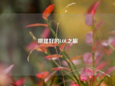 哦提好的LOL之旅