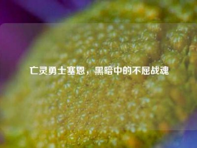亡灵勇士塞恩，黑暗中的不屈战魂
