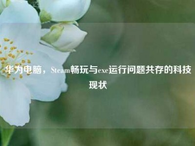 华为电脑，Steam畅玩与exe运行问题共存的科技现状