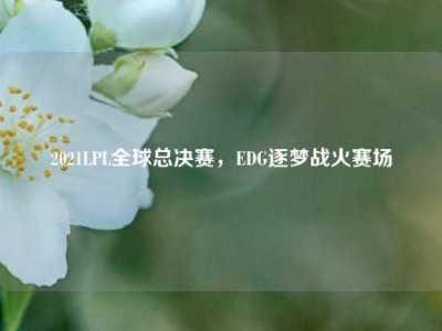 2021LPL全球总决赛，EDG逐梦战火赛场