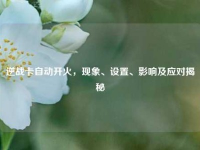 逆战卡自动开火，现象、设置、影响及应对揭秘