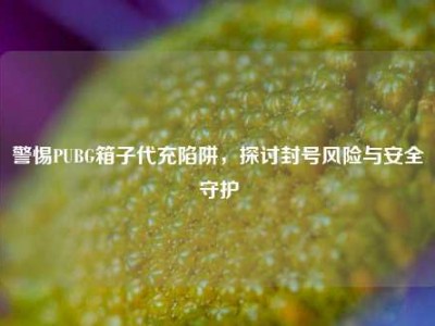 警惕PUBG箱子代充陷阱，探讨封号风险与安全守护