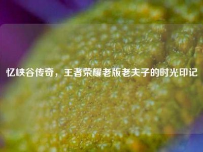 忆峡谷传奇，王者荣耀老版老夫子的时光印记