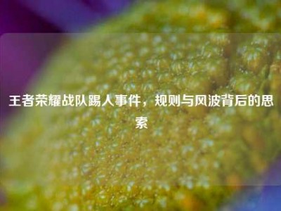 王者荣耀战队踢人事件，规则与风波背后的思索