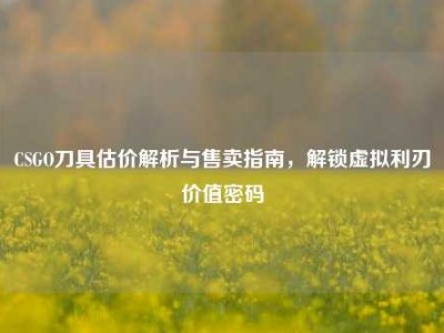 CSGO刀具估价解析与售卖指南，解锁虚拟利刃价值密码