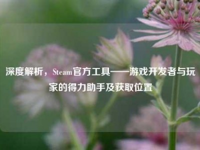 深度解析，Steam官方工具——游戏开发者与玩家的得力助手及获取位置