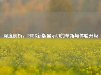 深度剖析，PUBG新版显示UI的革新与体验升级