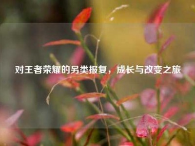对王者荣耀的另类报复，成长与改变之旅
