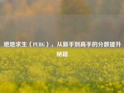 绝地求生（PUBG），从新手到高手的分数提升秘籍