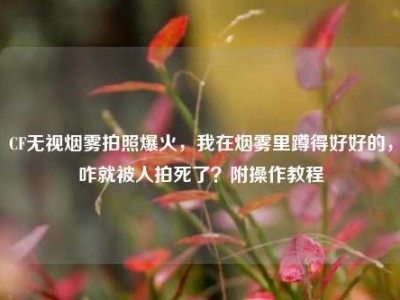 CF无视烟雾拍照爆火，我在烟雾里蹲得好好的，咋就被人拍死了？附操作教程