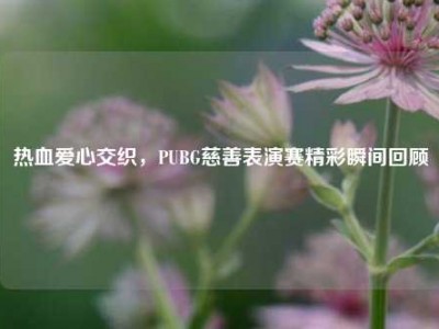 热血爱心交织，PUBG慈善表演赛精彩瞬间回顾
