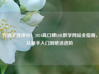 告别无效冲分！2024高口碑LOL教学网站全指南，从新手入门到绝活进阶