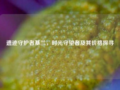 遗迹守护者基兰，时光守望者及其价格探寻